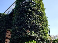 -三鹰之森吉卜力美术馆