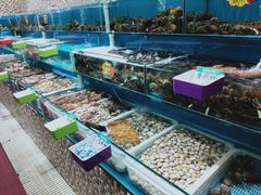 水产区-港畔赶海蒸汽海鲜烧烤自助(仙螺岛店)
