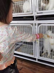 -小蜜蜂农场(凯德七宝购物广场店)