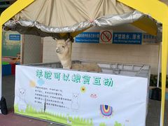 -黄金海岸水上乐园
