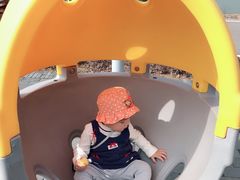 -枫香湖儿童公园