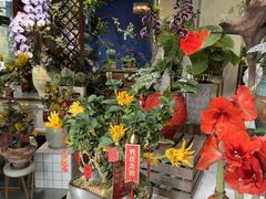 -弗劳尔花艺坊(龙涛店)