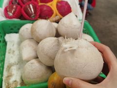 -三亚新鸿港水果一级批发市场