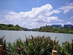 -华侨城湿地公园