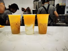 -CoCo都可(北美店)