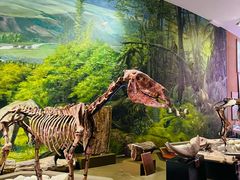 -陕西自然博物馆