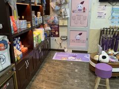 -宠爱国际动物医院·消化内科·心肾内科·ISFM猫友好(望京店)