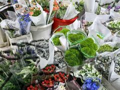 -循礼门鲜花花市(武汉循礼门店)