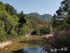 -蓝记云吞(正果店)