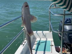 -鑫艋游艇海钓俱乐部