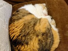 -隅cafe(傅厚岗店)