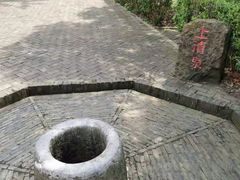 -上海佘山国家森林公园天马山园