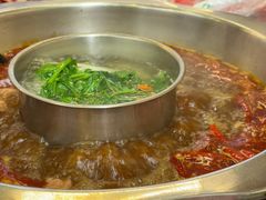 -金鼎雪山牦牛杂火锅(理县总店)