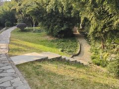 -菊花台公园