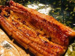 -料亭菊水楼