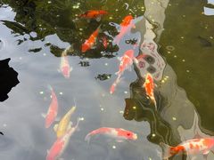 -长春观