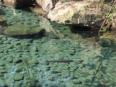 -黄公望隐居地