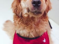 -康旭宠物医院(郑州总院)