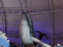 -烟台海昌鲸鲨海洋公园