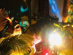 -恐龙探索乐园(磁器口店)