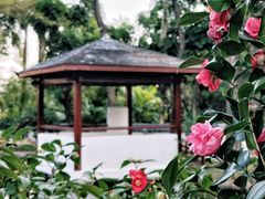 -深圳国际园林花卉博览园