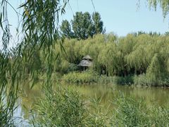 -塘沽森林公园