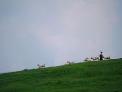 -恋山坝上草原