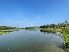 -东郊湿地公园