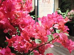 景观位-荷风细雨·中国茶宴(碧云店)