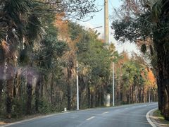 -上海海湾国家森林公园