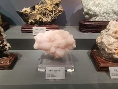 -湖南省地质博物馆