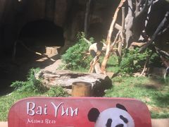 -圣地亚哥动物园