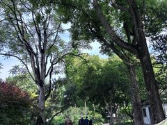 -秋霞圃
