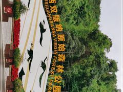 -西双版纳原始森林公园