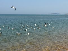 -林海公园