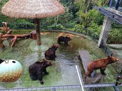 -深圳野生动物园