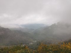 -大岭沟猕猴桃谷风景区