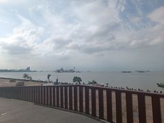 -上海滨江森林公园