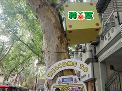 -大光明电影院(南京西路店)