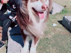 -上海月湖雕塑公园