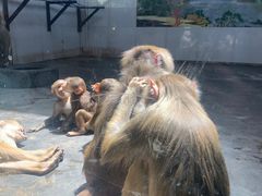 -西安秦岭野生动物园