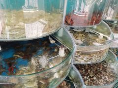 -仙螺岛海鲜自助餐厅(总店)