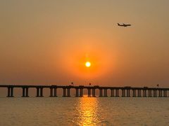 -宝安西湾红树林湿地公园