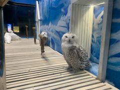 -成都浩海立方海洋公园