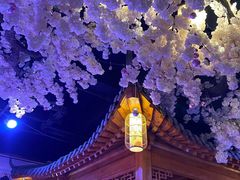 -汤乐汇•足道•SPA生活馆