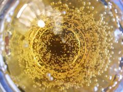 -绝城芋儿鸡(犀浦旗舰店)