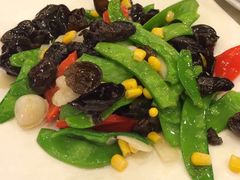 -金龙寨(解西店)