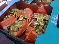 -双福水果批发市场