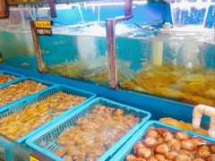 -老东镇啤酒屋海鲜加工·蒸汽海鲜·海鲜烧烤(台东店)