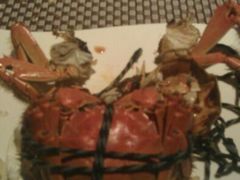 android_upload_pic-宁波逸东豪生大酒店·豪生咖啡厅